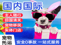 胶东航空快递国际宠物托运 【国